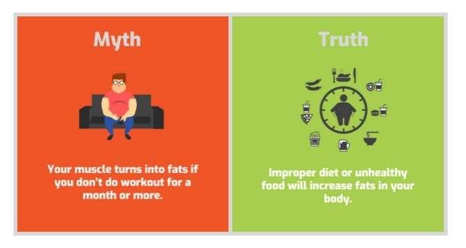 - Most Common Fitness Myths