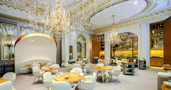 - Top 50 Best Restaurants in the World