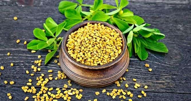 - Home Remedies of Hair Fall and Regrowth