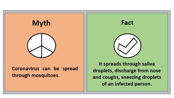 - Myth 2 Coronavirus can be spread through mosquitoes.