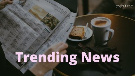 - Best Niche Ideas for Blogging Website
